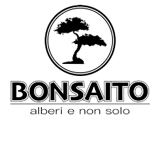 bonsai esterno